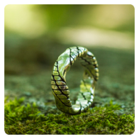Silver Ring