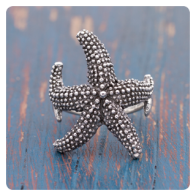 Starfish Silver Fish
